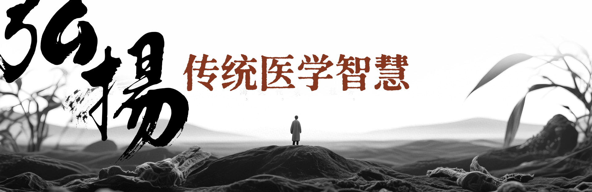 中医传承